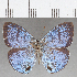  ( - CFC25853)  @11 [ ] Copyright (2019) Christer Fahraeus Center For Collection-Based Research