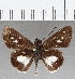 ( - CFC25886)  @11 [ ] Copyright (2019) Christer Fahraeus Center For Collection-Based Research