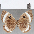  ( - CFC26052)  @11 [ ] Copyright (2019) Christer Fahraeus Center For Collection-Based Research