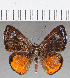  ( - CFC26071)  @11 [ ] Copyright (2019) Christer Fahraeus Center For Collection-Based Research