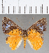  ( - CFC26072)  @11 [ ] Copyright (2019) Christer Fahraeus Center For Collection-Based Research
