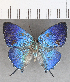  ( - CFC26181)  @11 [ ] copyright (2020) Christer Fahraeus Center For Collection-Based Research