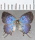  ( - CFC26237)  @11 [ ] copyright (2020) Christer Fahraeus Center For Collection-Based Research