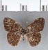  ( - CFC02627)  @11 [ ] Copyright (2018) Christer Fahraeus Center For Collection-Based Research