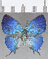  ( - CFC26274)  @11 [ ] copyright (2020) Christer Fahraeus Center For Collection-Based Research