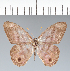  ( - CFC02628)  @11 [ ] copyright (2022) Center For Collection-Based Research Center For Collection-Based Research