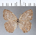  ( - CFC02637)  @11 [ ] Copyright (2018) Christer Fahraeus Center For Collection-Based Research