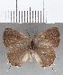  ( - CFC26404)  @11 [ ] copyright (2020) Christer Fahraeus Center For Collection-Based Research