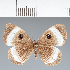  ( - CFC26432)  @11 [ ] copyright (2022) Center For Collection-Based Research Center For Collection-Based Research