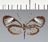  ( - CFC26434)  @11 [ ] copyright (2023) Center For Collection-Based Research Center For Collection-Based Research