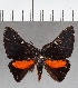  ( - CFC26470)  @11 [ ] copyright (2021) Center For Collection-Based Research Center For Collection-Based Research