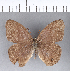  ( - CFC02648)  @11 [ ] Copyright (2018) Christer Fahraeus Center For Collection-Based Research