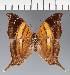  ( - CFC26494)  @11 [ ] copyright (2023) Center For Collection-Based Research Center For Collection-Based Research