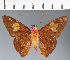  ( - CFC26587)  @11 [ ] copyright (2023) Center For Collection-Based Research Center For Collection-Based Research