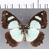  ( - CFC02660)  @11 [ ] Copyright (2019) Christer Fahraeus Center For Collection-Based Research