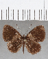  ( - CFC26610)  @11 [ ] Copyright (2019) Christer Fahraeus Center For Collection-Based Research