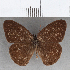  ( - CFC26640)  @11 [ ] copyright (2020) Christer Fahraeus Center For Collection-Based Research