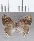  ( - CFC26703)  @11 [ ] Copyright (2020) Christer Fahraeus Center For Collection-Based Research