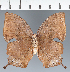  ( - CFC26800)  @11 [ ] copyright (2023) Center For Collection-Based Research Center For Collection-Based Research