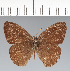  ( - CFC26854)  @11 [ ] copyright (2022) Center For Collection-Based Research Center For Collection-Based Research