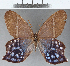  ( - CFC27012)  @11 [ ] Copyright (2019) Christer Fahraeus Center For Collection-Based Research