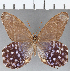  ( - CFC27013)  @11 [ ] Copyright (2019) Christer Fahraeus Center For Collection-Based Research