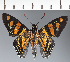  ( - CFC27074)  @11 [ ] copyright (2023) Center For Collection-Based Research Center For Collection-Based Research