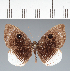  ( - CFC27137)  @11 [ ] copyright (2022) Center For Collection-Based Research Center For Collection-Based Research