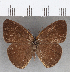  ( - CFC27219)  @11 [ ] copyright (2020) Christer Fahraeus Center For Collection-Based Research