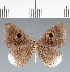  ( - CFC27302)  @11 [ ] copyright (2022) Center For Collection-Based Research Center For Collection-Based Research