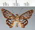  ( - CFC27488)  @11 [ ] copyright (2023) Center For Collection-Based Research Center For Collection-Based Research