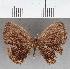  ( - CFC27527)  @11 [ ] copyright (2021) Center For Collection-Based Research Center For Collection-Based Research