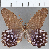  ( - CFC27585)  @11 [ ] Copyright (2019) Christer Fahraeus Center For Collection-Based Research