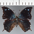  ( - CFC27597)  @11 [ ] copyright (2023) Center For Collection-Based Research Center For Collection-Based Research