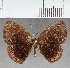  ( - CFC27623)  @11 [ ] copyright (2021) Center For Collection-Based Research Center For Collection-Based Research