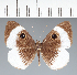  ( - CFC27726)  @11 [ ] copyright (2022) Center For Collection-Based Research Center For Collection-Based Research