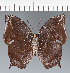  ( - CFC28091)  @11 [ ] copyright (2023) Center For Collection-Based Research Center For Collection-Based Research