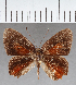  ( - CFC28112_2)  @11 [ ] copyright (2022) Center For Collection-Based Research Center For Collection-Based Research