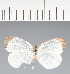  ( - CFC28212)  @11 [ ] copyright (2023) Center For Collection-Based Research Center For Collection-Based Research