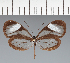  ( - CFC28226)  @11 [ ] copyright (2023) Center For Collection-Based Research Center For Collection-Based Research