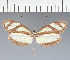  ( - CFC28254)  @11 [ ] copyright (2023) Center For Collection-Based Research Center For Collection-Based Research