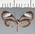  ( - CFC28257)  @11 [ ] copyright (2023) Center For Collection-Based Research Center For Collection-Based Research