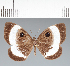  ( - CFC28511)  @11 [ ] copyright (2022) Center For Collection-Based Research Center For Collection-Based Research