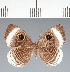  ( - CFC28517)  @11 [ ] copyright (2022) Center For Collection-Based Research Center For Collection-Based Research
