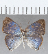  ( - CFC28526)  @11 [ ] Copyright (2020) Christer Fahraeus Center For Collection-Based Research
