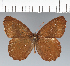  ( - CFC28831)  @11 [ ] copyright (2022) Center For Collection-Based Research Center For Collection-Based Research