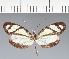  ( - CFC28832)  @11 [ ] copyright (2023) Center For Collection-Based Research Center For Collection-Based Research