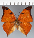  ( - CFC28998)  @11 [ ] copyright (2023) Center For Collection-Based Research Center For Collection-Based Research