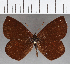  ( - CFC29013)  @11 [ ] copyright (2020) Christer Fahraeus Center For Collection-Based Research
