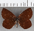  ( - CFC29017)  @11 [ ] copyright (2020) Christer Fahraeus Center For Collection-Based Research